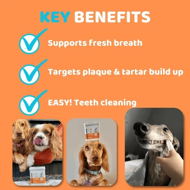 Dog's Life Dental Wipes