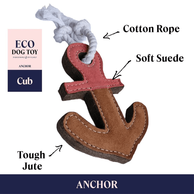 Cub - Anchor