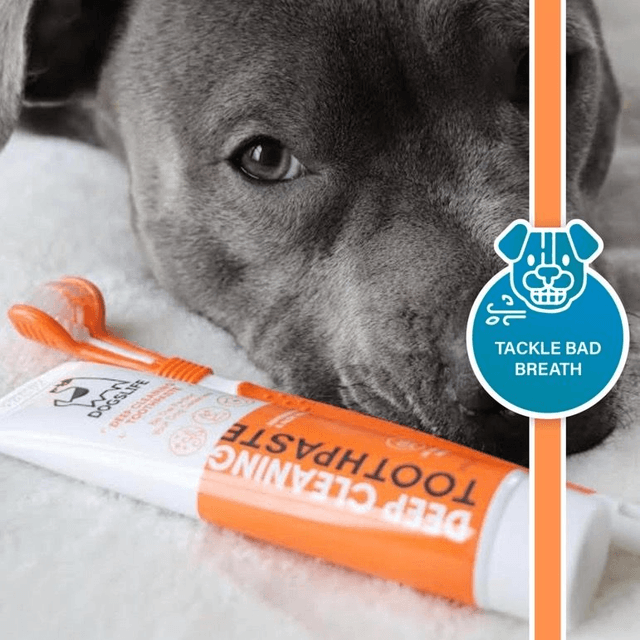 Dog's Life Toothpaste