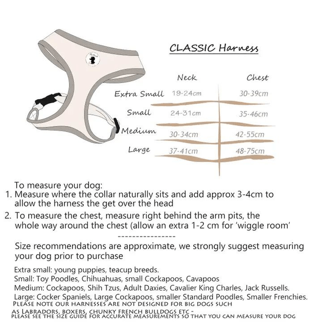 Pet Pooch Boutique - Cheeky Monkey Harness