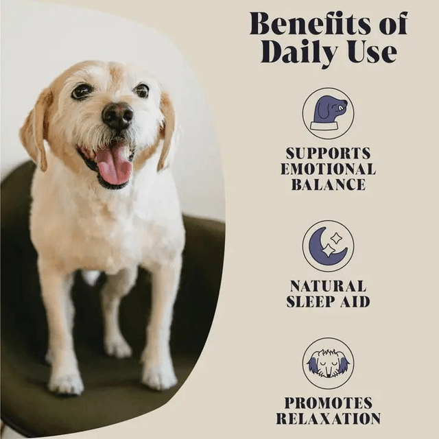Hackney Dog House - Calming Goats Milk Powder