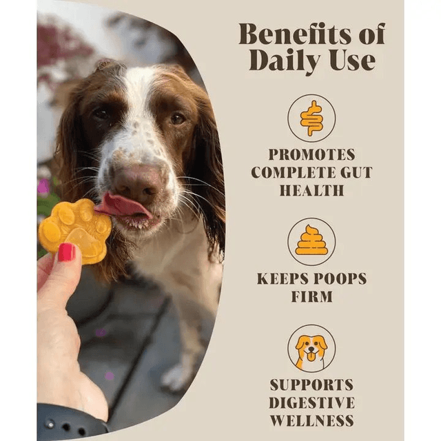Hackney Dog House - Pumpkin & Probiotic Powder
