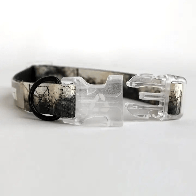 EDDGY Collar - Loki
