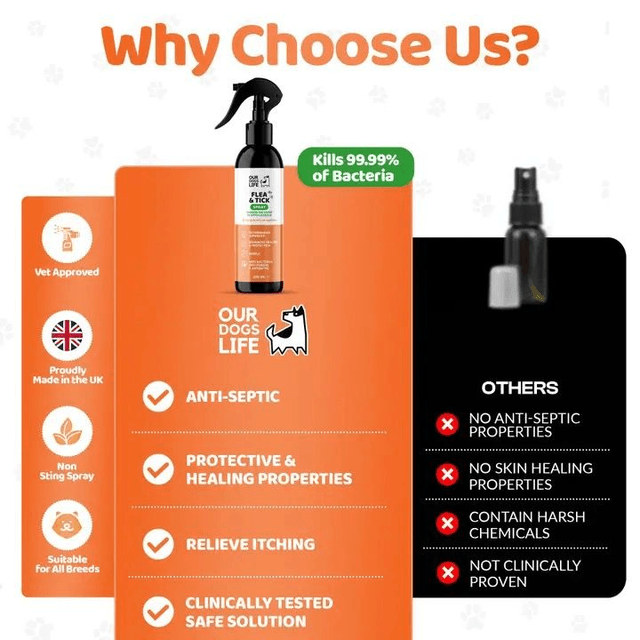 Dog's Life Flea & Tick Spray