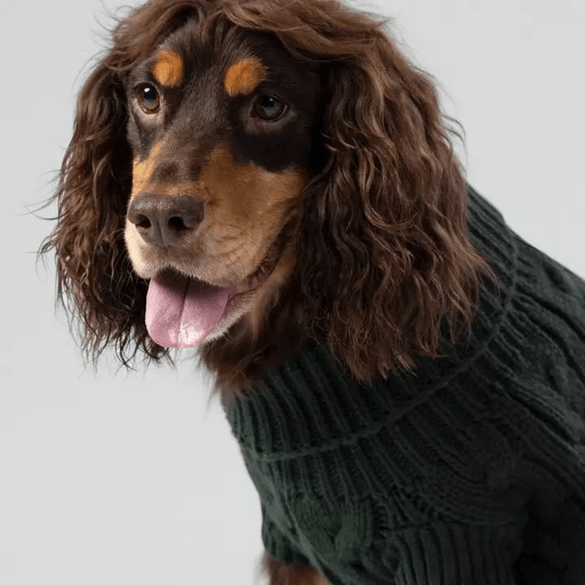 Hackett X Hugo Hudson Cable Knit Jumper - Green