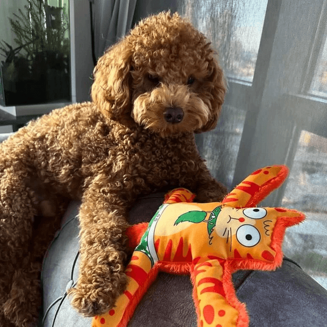 WufWuf - Catto Squeaky Plush Dog Toy