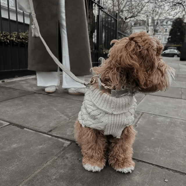 By Teddy Boucle Matcha - Collar