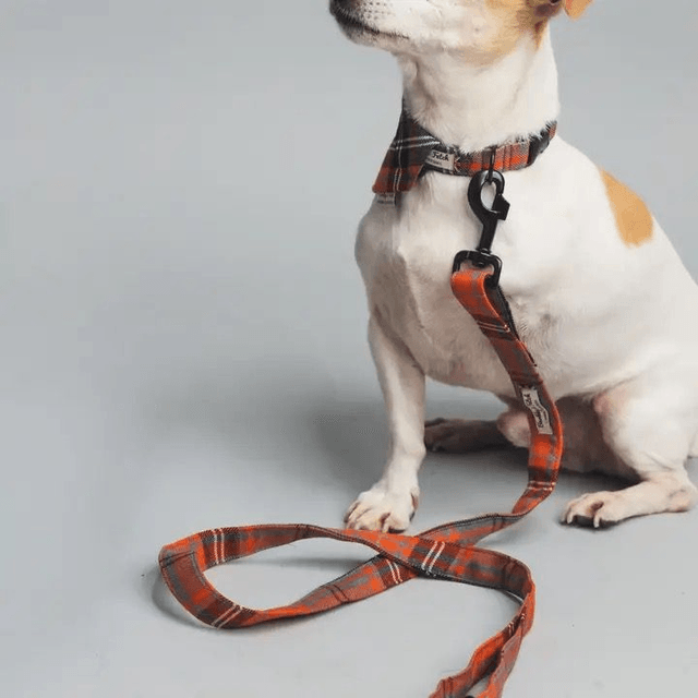 Barkley & Fetch - Orange & Grey Tartan - Lead
