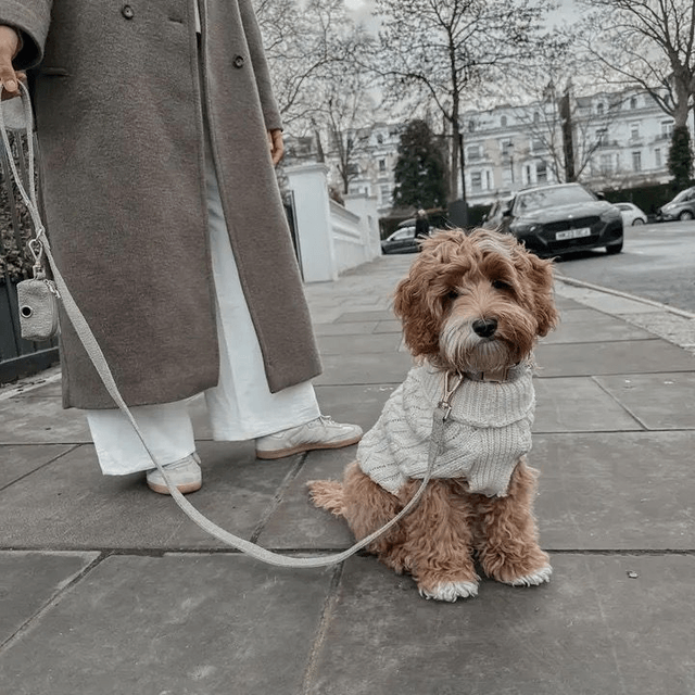 By Teddy Boucle Matcha - Lead
