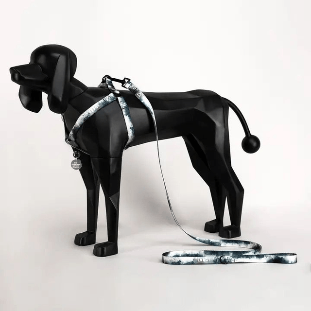 EDDGY Lead - Skye