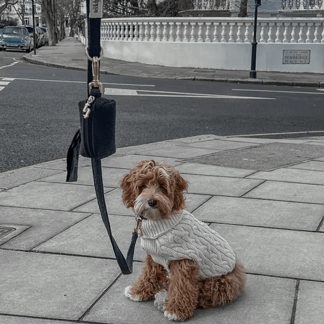 By Teddy Boucle Midnight - Poop Bag Holder 