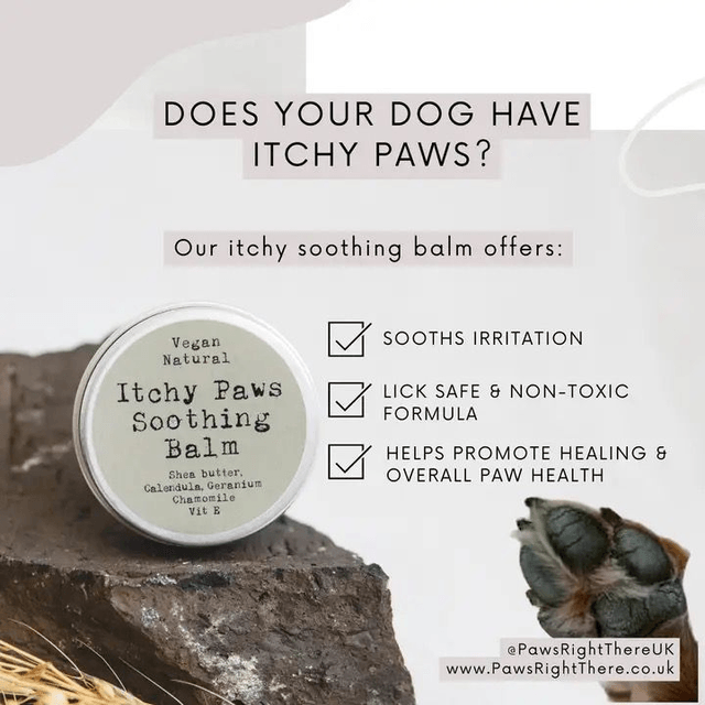 Paws Right There - Itchy Paws Soothing Balm