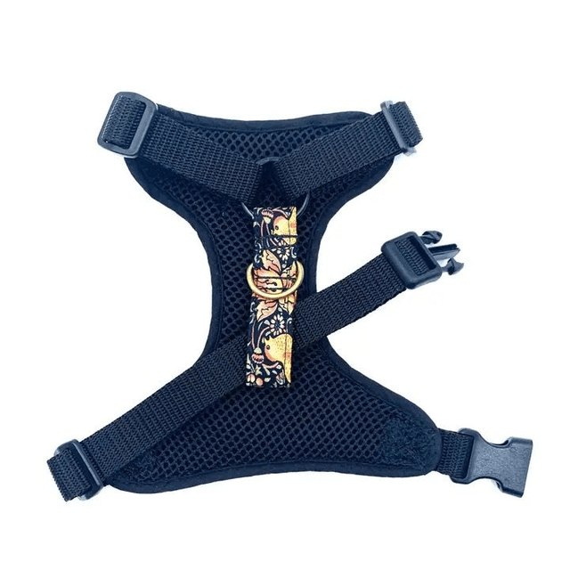 Barkley & Fetch - Black Strawberry Thief - Harness 
