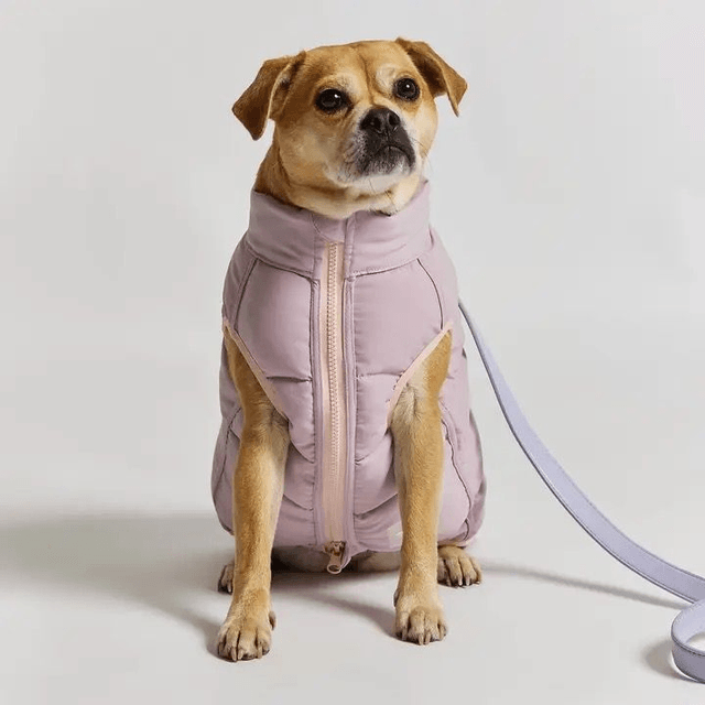 Barc London Reversible Puffer Jacket - Pink & Lilac