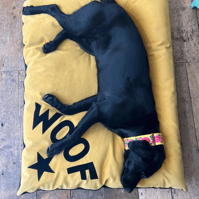 Creature Clothes Big Woof Dog Bed - Mustard Velvet