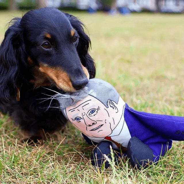 Pet Hates - Kier Starmer