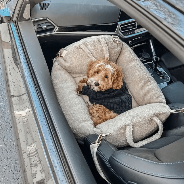 By Teddy Cosy Car Seat 