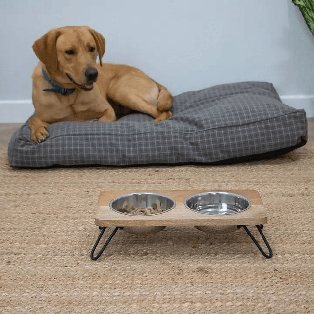 Hungry Paws Raised Dog Bowls 