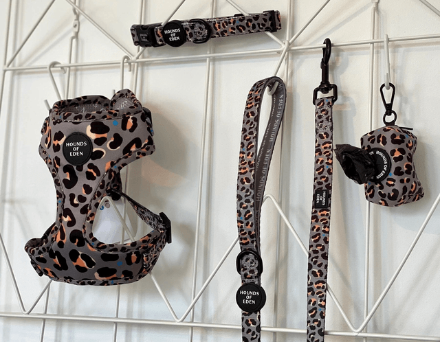 Hounds of Eden Lead - Steel Leopard