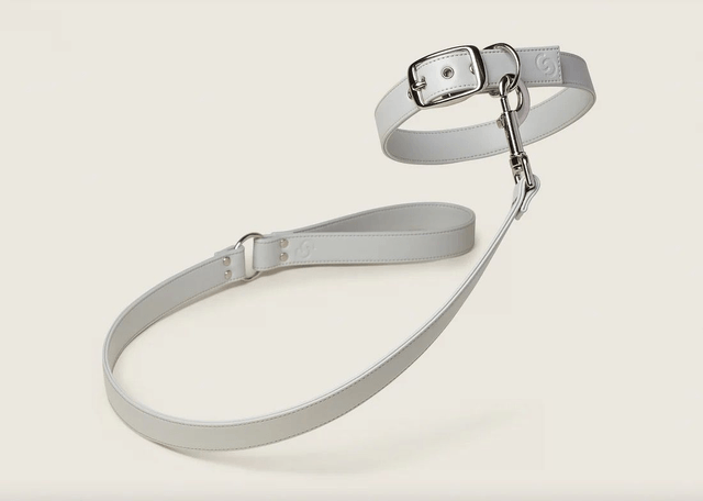 Skylos Collective Ice Blue Vegan Apple Leather Collar