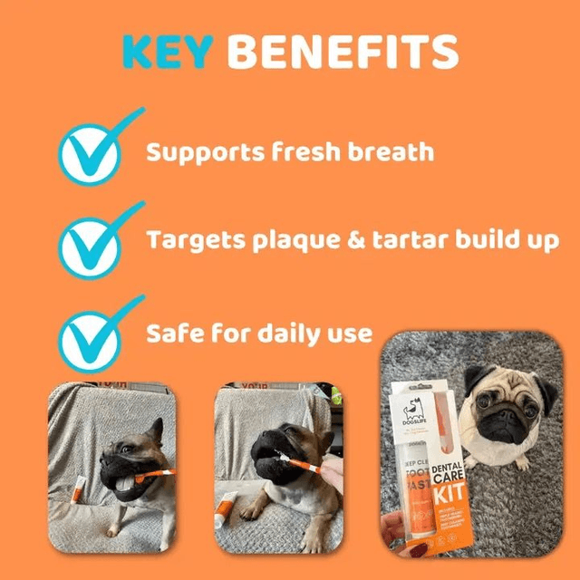 Dog's Life Dental Care Kit 