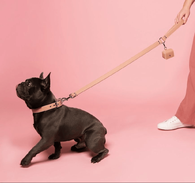 Skylos Collective Blush Pink Vegan Apple Leather Lead 