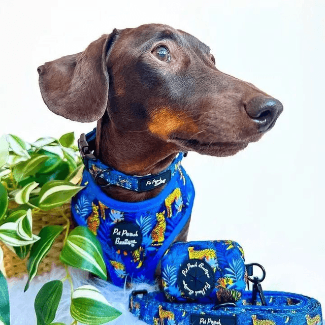 Pet Pooch Boutique Poop Bag Holder - Wild Spirit Blue Leopard