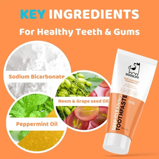 Dog's Life Dental Care Kit 