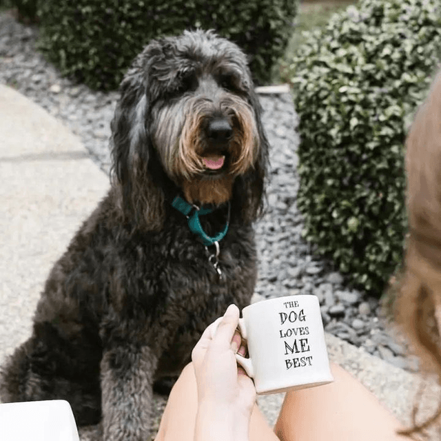 Sweet William Mug - The Dog Loves Me Best