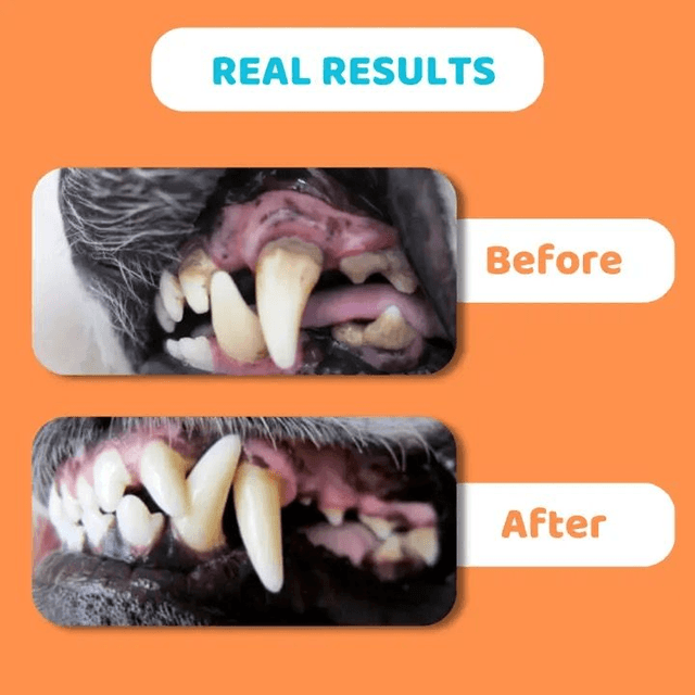 Dog's Life Dental Wipes