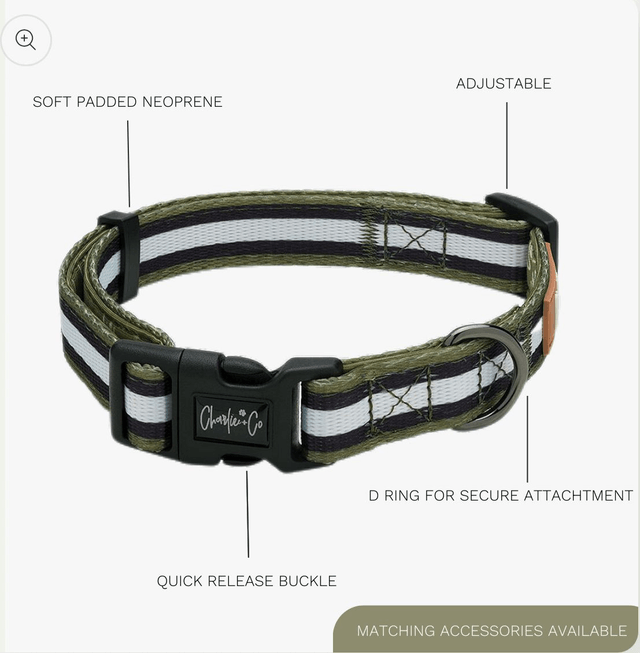 Charlie & Co - Barky Khaki - Collar