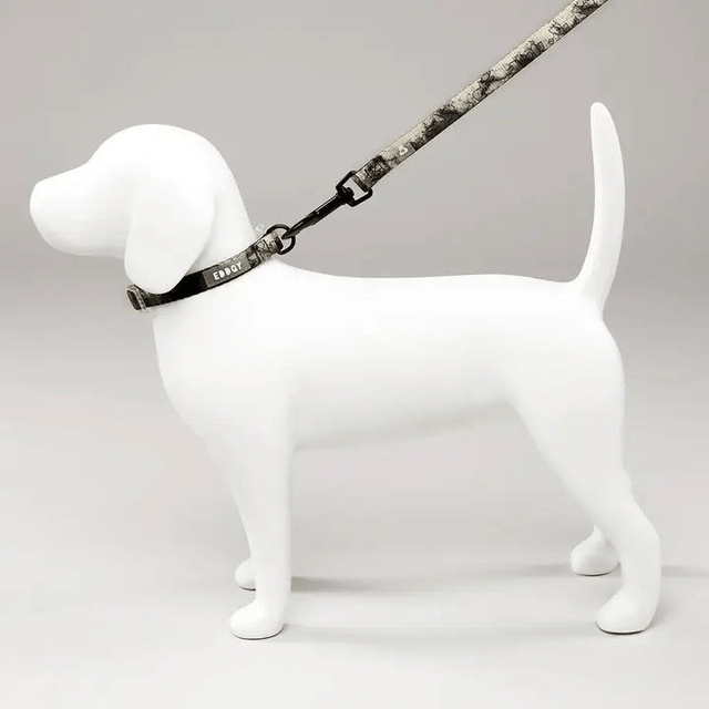 EDDGY Collar - Loki