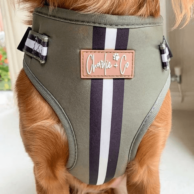 Charlie & Co - Barky Khaki - Step-in Harness 