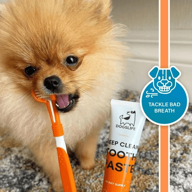 Dog's Life Dental Care Kit 
