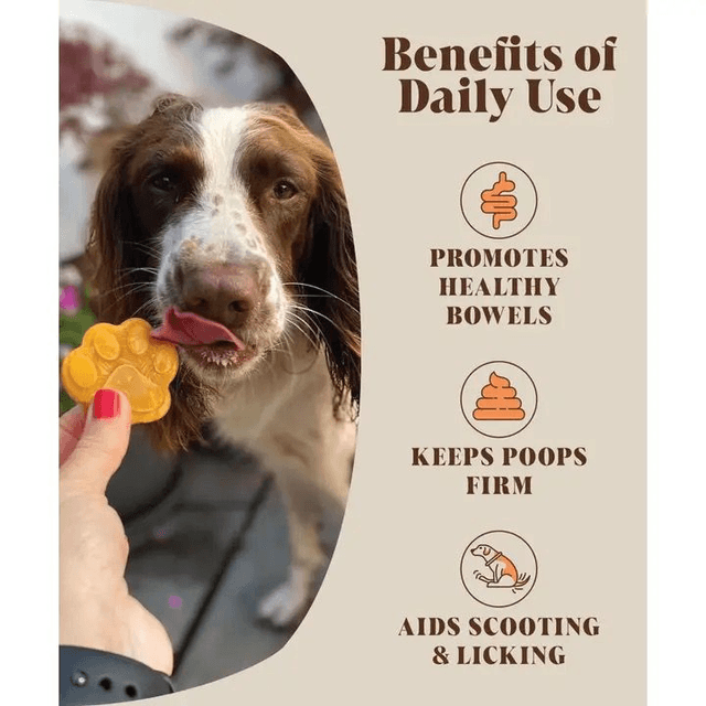 Hackney Dog House - Pumpkin Puree Powder