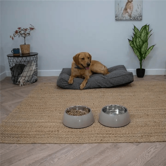 Hungry Paws Double Wall Insulated Dog Bowl - Oatmeal