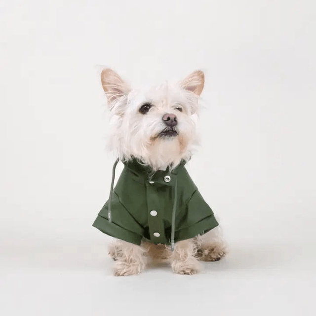 Barc London Waterproof Raincoat - Green