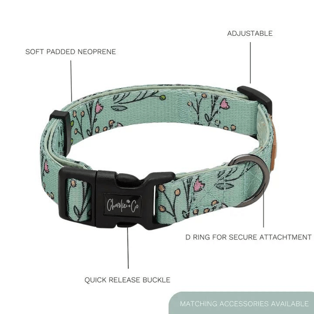 Charlie & Co - Are You FLOREAL - Collar
