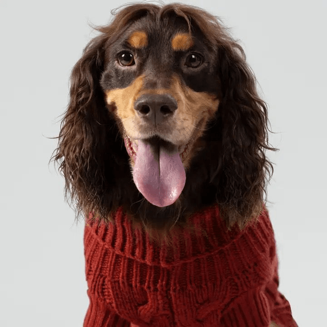 Hackett X Hugo Hudson Cable Knit Jumper - Brick