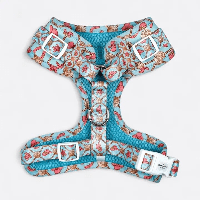Paw Print Boutique "She sells Seashells on the YEEHAW" Harness