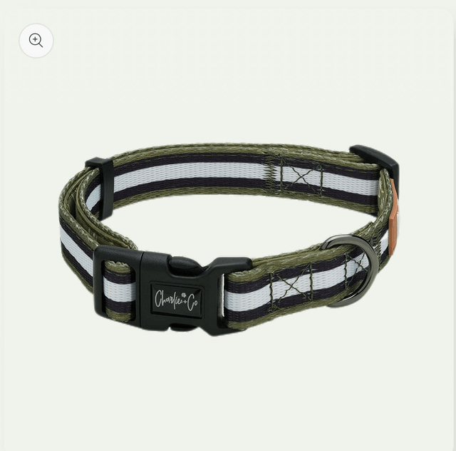 Charlie & Co - Barky Khaki - Collar