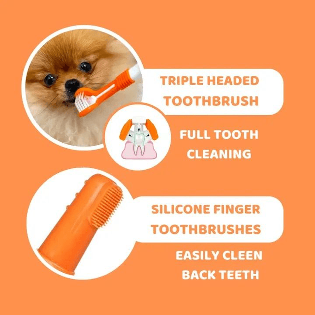 Dog's Life Dental Care Kit 