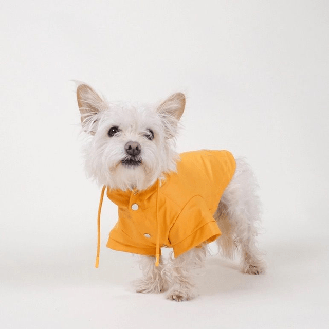 Barc London Waterproof Raincoat - Orange