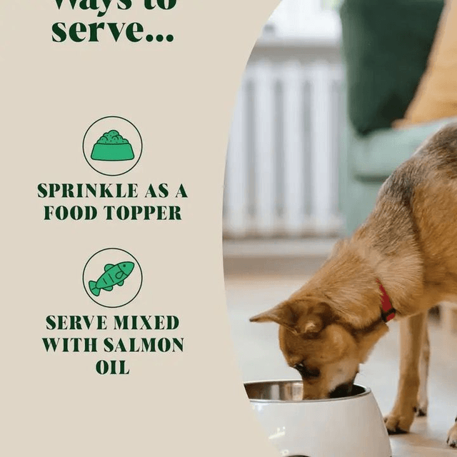 Hackney Dog House - Natural Flea & Tick Topper