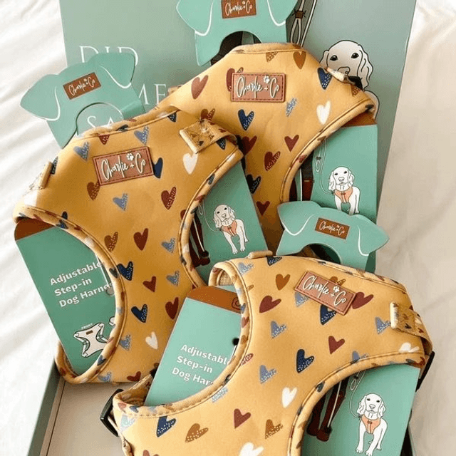 Charlie & Co - Mustard Been Love - Step-in Harness 