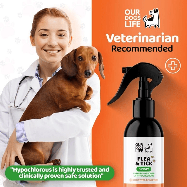 Dog's Life Flea & Tick Spray