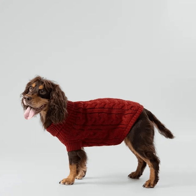 Hackett X Hugo Hudson Cable Knit Jumper - Brick
