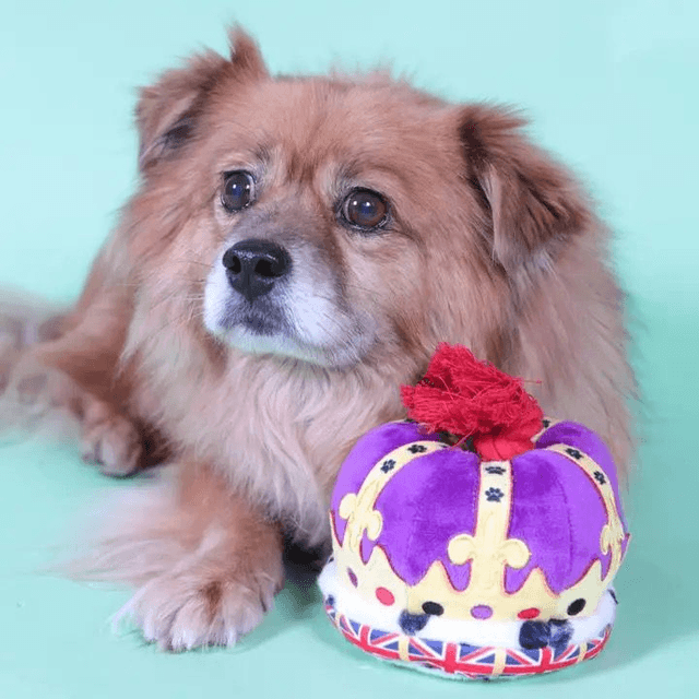 Pet London - British Crown Plush & Rope Toy