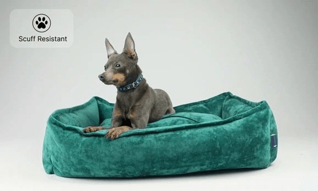 Hillfoot & Paws Scuff Tough Nest Dog Bed - Green Velvet