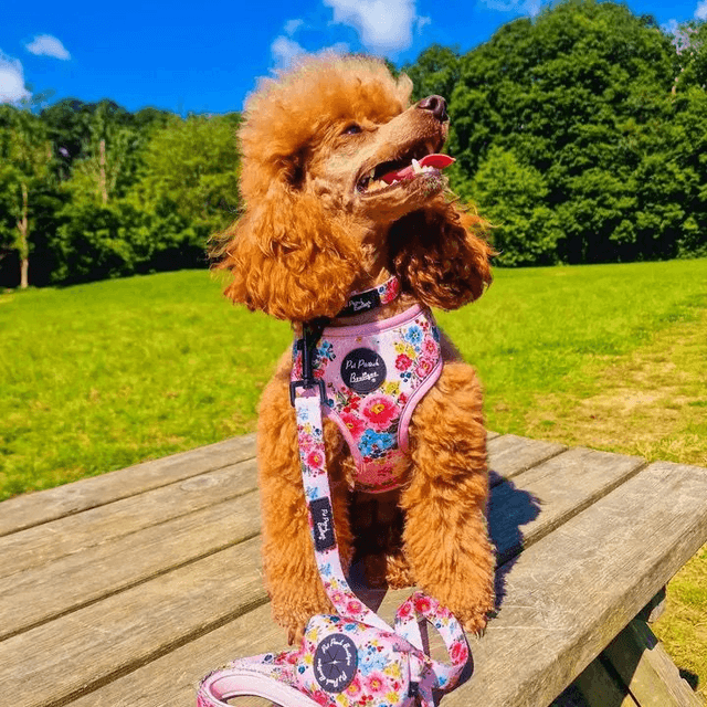 Pet Pooch Boutique Poop Bag Holder - Cottage Floral 